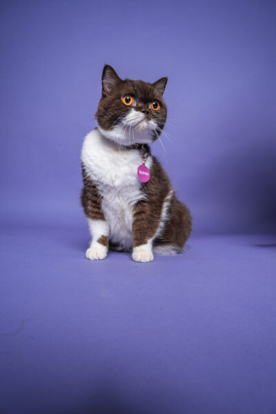 DSC09460-Edit